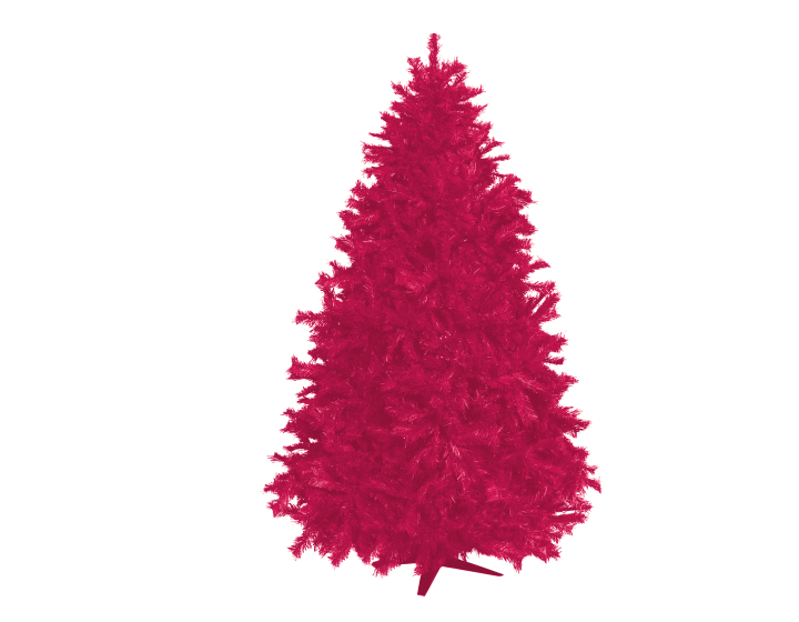 baum 1 Bild eines roten Tannenbaums